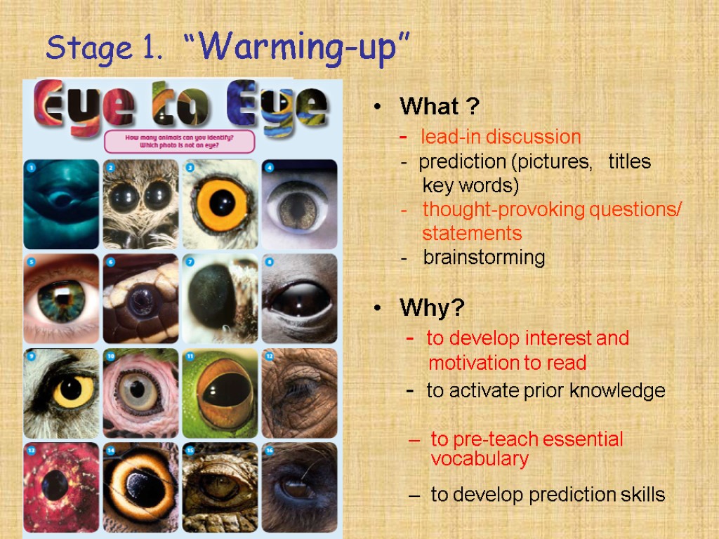 Stage 1. “Warming-up” What ? - lead-in discussion - prediction (pictures, titles key words)